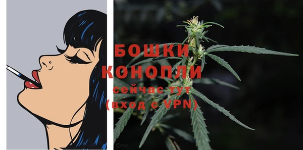 ECSTASY Нязепетровск