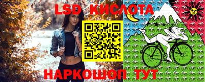 ешки Донецк